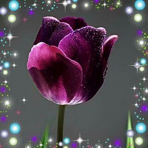 Meet your Posher, Mary ellen